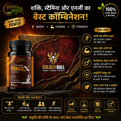 GOLDEN BULL POWERX TESTOSTERONE