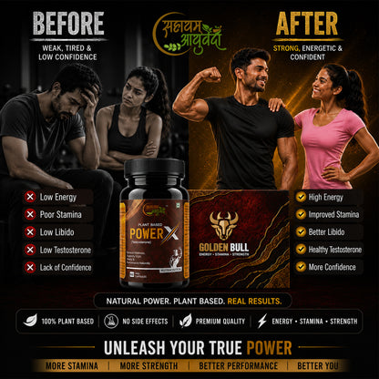 GOLDEN BULL POWERX TESTOSTERONE